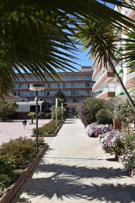 Alegre Apto Con Piscina, A 300M De La Playa. 布拉内斯 外观 照片
