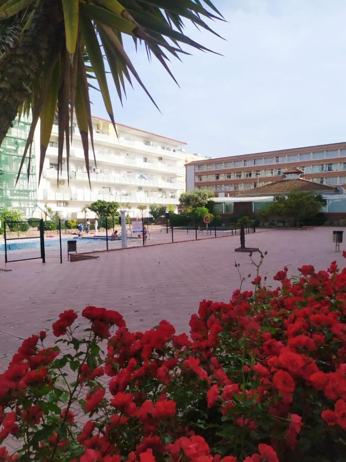 Alegre Apto Con Piscina, A 300M De La Playa. 布拉内斯 外观 照片